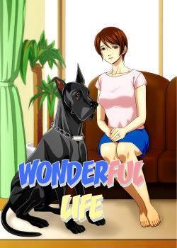 Wonderful Life Wonderful Life