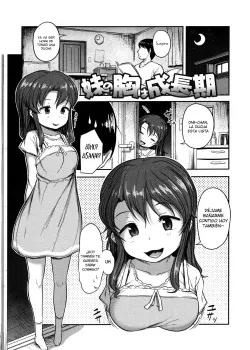 Imouto no Mune wa Seichou-ki - El pecho de mi hermanita ha crecido - Hayake Imouto no Mune wa Seichou-ki - El pecho de mi hermanita ha crecido - Hayake