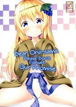 Querido Onii-sama Por favor no olvides nuestra promesa Querido Onii-sama Por favor no olvides nuestra promesa