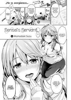 Sensei Servant