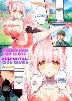 Flan-chan sin leche - Administracion diaria