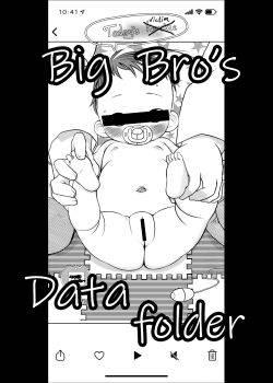 Big bro data folder