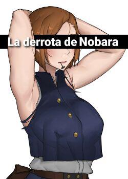 La derrota de Nobara (Nobaras Defeat) 