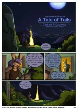 A Tale of Tails 7