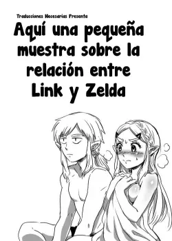 Aqui una pequeña muestra sobre la relacion de Link y Zelda (Corregido)