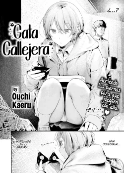 Gata Callejera - Stray Cat-Girl